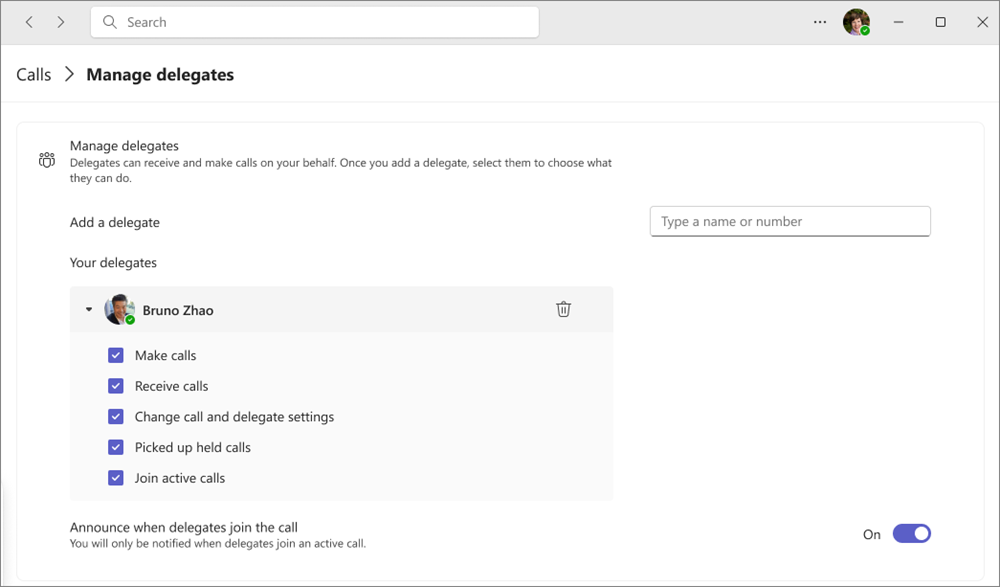 Screenshot that shows the add a delegate screen with permissions.