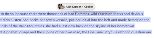 Copilot Pages identify author and Copilot names
