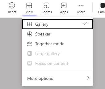 Meeting View menu with Gallery, Speaker, and Together mode options