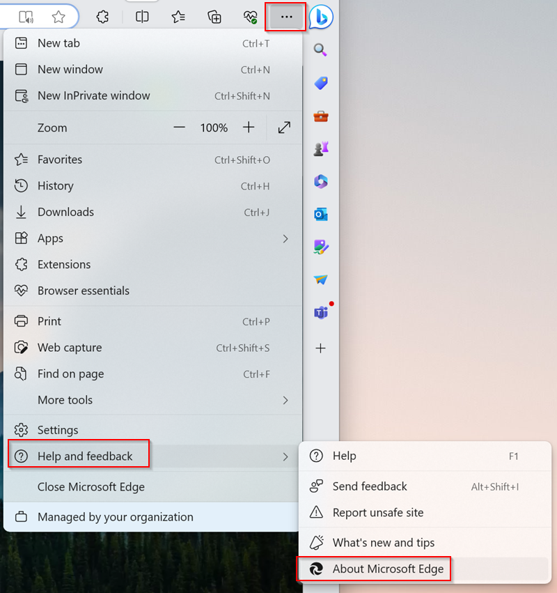 Make your Microsoft Edge is updated to the latest version
