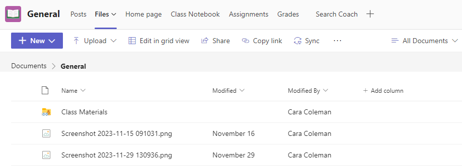 Screenshot of files.