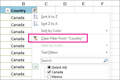 Clear filter from button