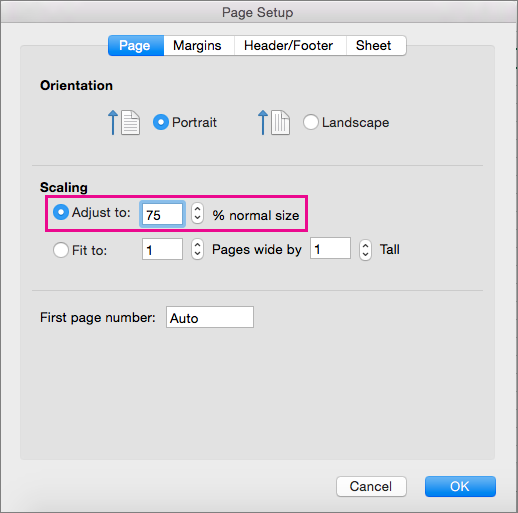 Page Setup box, with Adjust to selected
