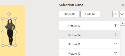 Shows Selection Pane