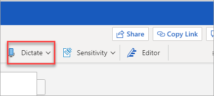 Shows Word window
