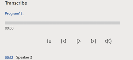 Shows transcription pane