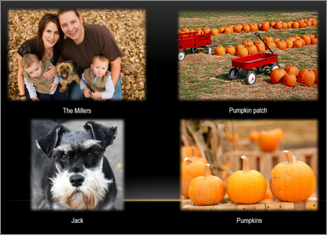 Sample photo album