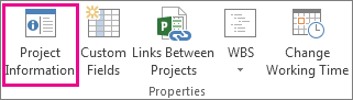 Project Information on the Project tab