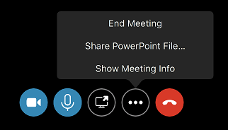 End Meeting command in More Options (...) menu
