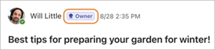 Screenshot showing community owner badges in Teams for personal use.