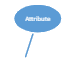 The Attribute shape.