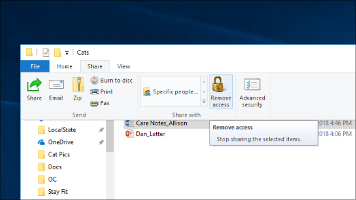 File Explorer Share tab with Remove access highlighted in the Share with section