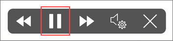 iPad Read Aloud controls with Pause highlighted