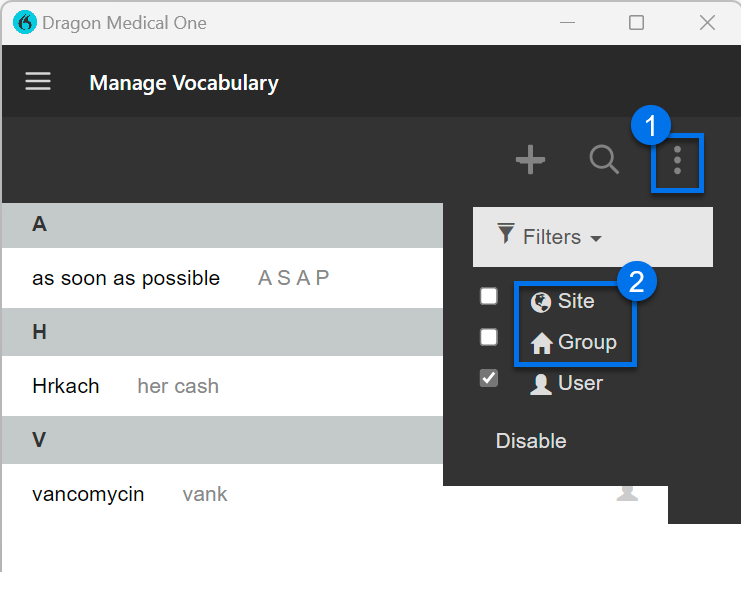 Manage Vocabulary window with Filters menu open