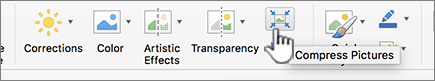 Under the Picture tab, select Compress Pictures