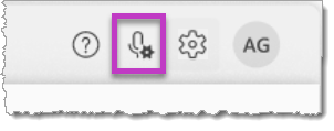 Image of the microphone icon.
