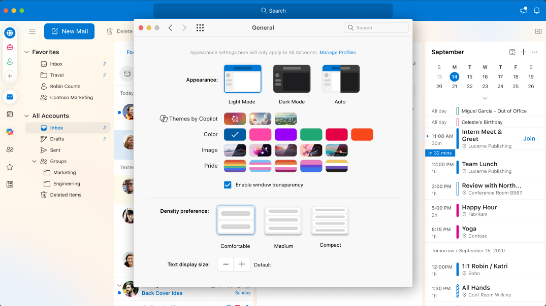 Settings page showing the entry points for Themes by Copilot