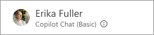 Screenshot of Copilot Chat (Basic) label