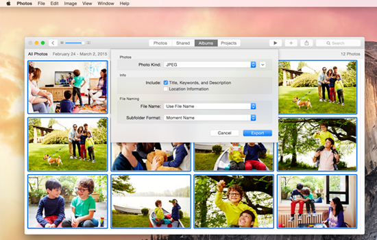A sample Mac file export window